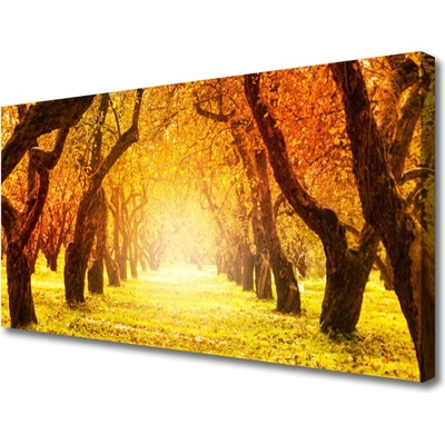 Obraz Canvas Les chodník stromy príroda 100x50 cm