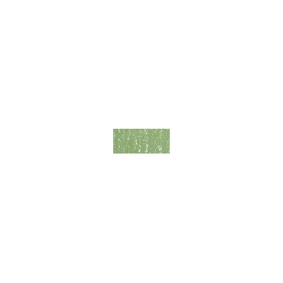 Sennelier suchý pastel 172 moss grey green