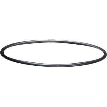 sera - Уплътнителен пръстен за външни филтри Sera Fil 250 и 400