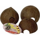 Lucky Reptile Coco Cave celá škupina 10–14 cm
