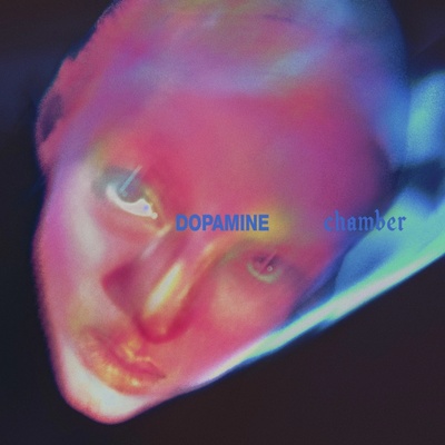Fontaines D.C. - Dopamine Chamber CD