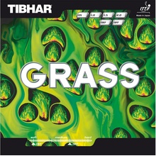 Tibhar Grass
