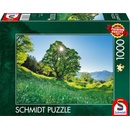 SCHMIDT Platan 1000 dielov