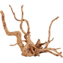 Zolux pavúk koreň 40-50 cm