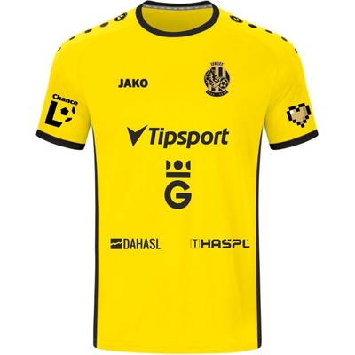 Jako brankářský dres FCHK žlutá