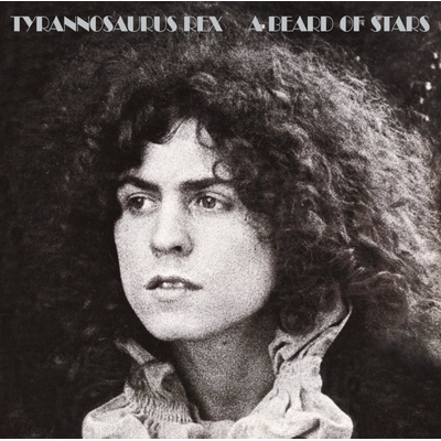 Tyrannosaurus Rex - A Beard Of Stars LP