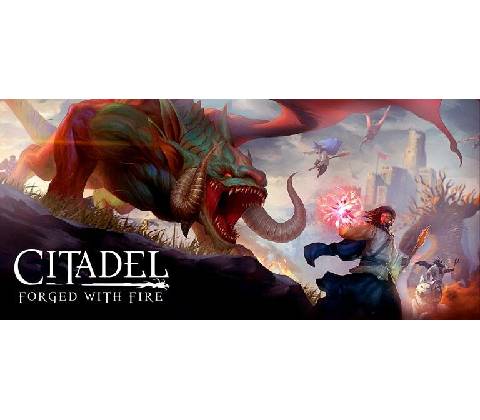 Citadel: Forged With Fire