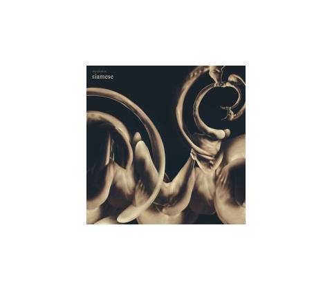 Siamese - Dissolution CD