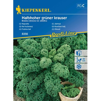 Kiepenkerl Semínka Kapusta Halbhoher grüner kraus