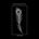 Discography 2014-2019 - Procrastinate CD