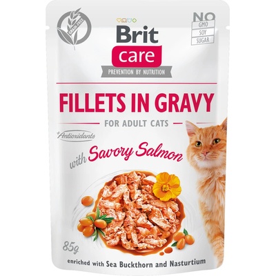 Brit Care Cat Fillets in Gravy Savory Salmon 85 g – Zboží Mobilmania