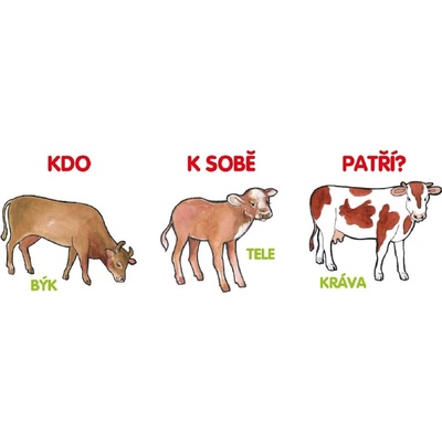 Kdo k sobě patří?