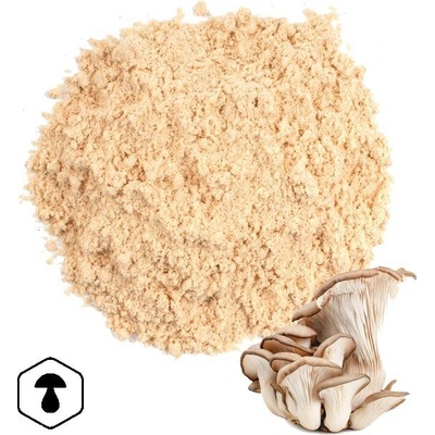 LifeChi Hlíva ústřičná Pleurotus ostreatus EXTRAKT v prášku 50 g