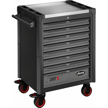 VIGOR V4560