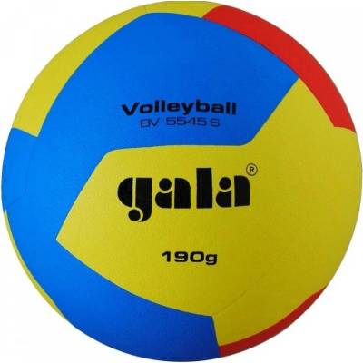 GALA Volleyball 12 BV5545S