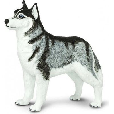 Safari Ltd Husky šedá biela