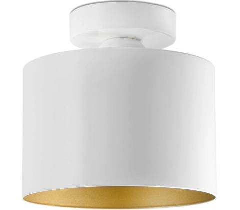 Faro 65137
