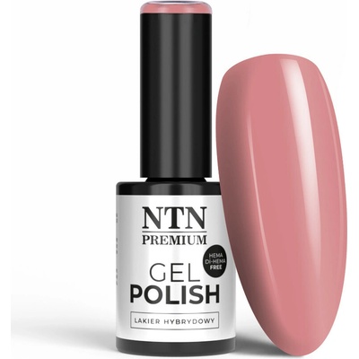 NTN Gél lak premium Day Dreaming 58 5 g