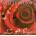 Willie Nelson - First Rose Of Spring (LP) (0194397367010)