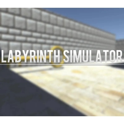 Labyrinth Simulator