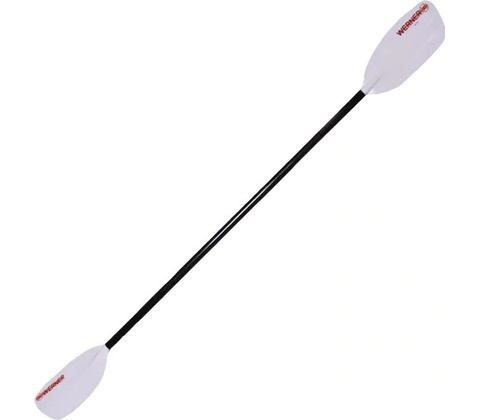 Werner Rio FG