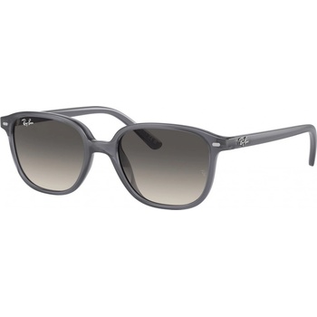 Ray-Ban RJ9093S 713411