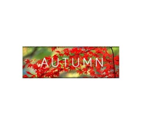 Autumn