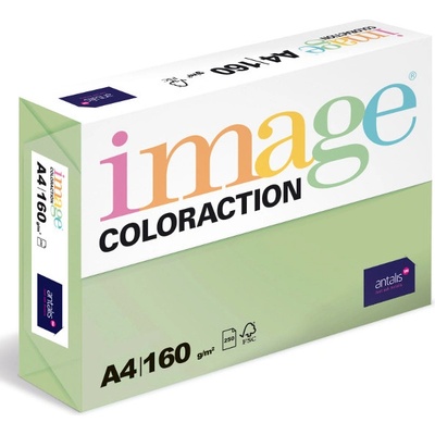 ANTALIS Barevný papír Image Coloraction A4 160g pastelově zelená 250 ks 119136