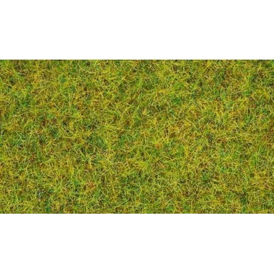 Noch statická tráva letní louka 2,5mm 20g 08310 – Hledejceny.cz