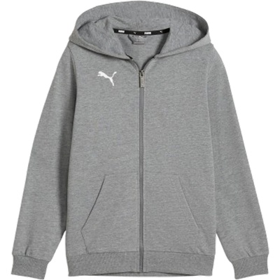 Puma Teamgoal Casuals Hooded Jacket sivá