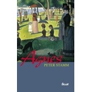 Agnes - Peter Stamm