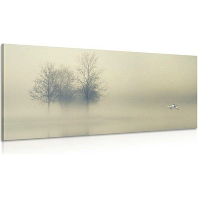 Obraz stromy v mlze - 140x70