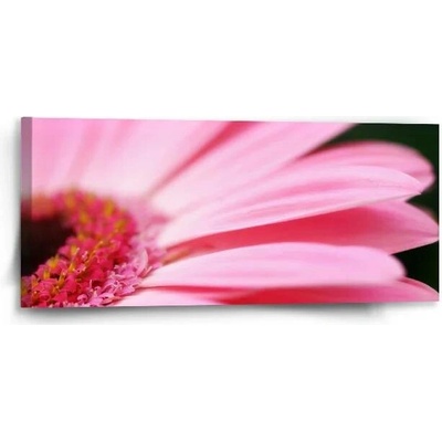 Sablio Obraz Růžová gerbera - 110x50 cm