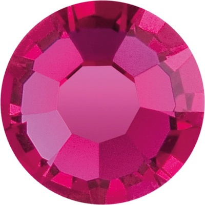 FUCHSIA Preciosa SS 10 100 ks