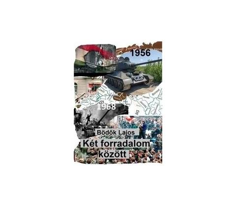 Két forradalom között