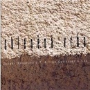 NAVAROVA ZUZANA & KOA: SKLENENA VRBA CD