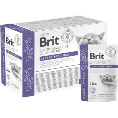 Brit VD Cat Fillets in Gravy Gastrointest 12 x 85 g