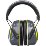 Portwest hv extreme pw73 / Антифони (pw73gyr)