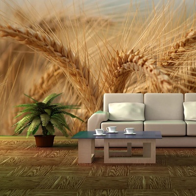 Sablio Tapeta Klasy 2, rozmery 336x220 cm