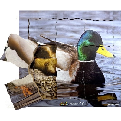 Just Jigsaws 603 Kačer a jeho životní cyklus dřevěné vrstvené 19 dílů