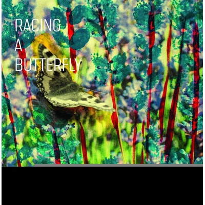 IVERSEN, ANNE METTE -QUAR - RACING A BUTTERFLY LP