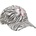 Minymo swan