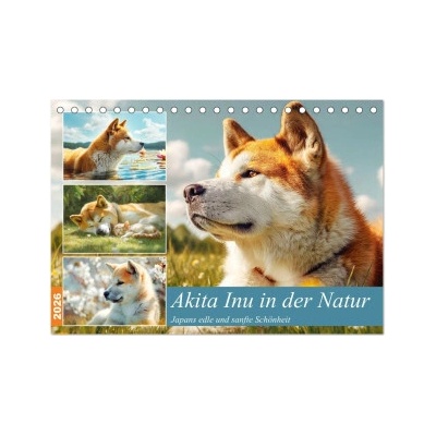 Akita Inu in der Natur. Japans edle und sanfte Schönheit Tisch DIN A5 quer CALVENDO Monats 2026