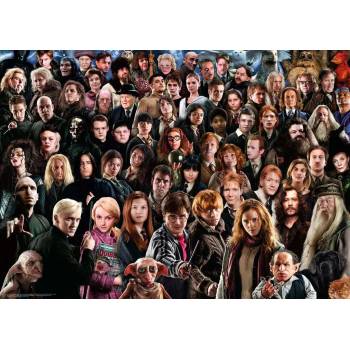 Ravensburger - Puzzle Harry Potter Challenge - 1 000 piese