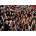 Ravensburger - Puzzle Harry Potter Challenge - 1 000 piese