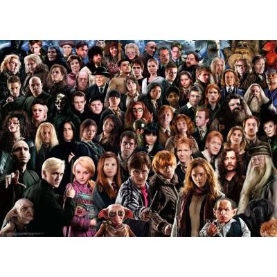 Ravensburger - Puzzle Harry Potter Challenge - 1 000 piese