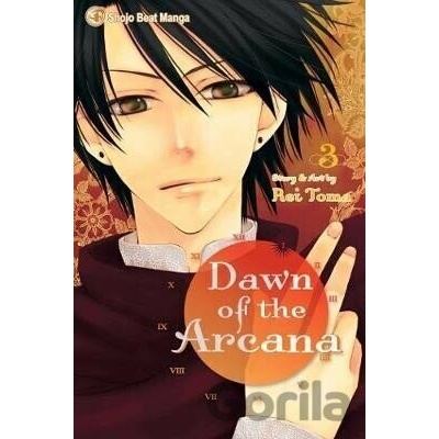 Dawn of the Arcana 3 - Rei Toma