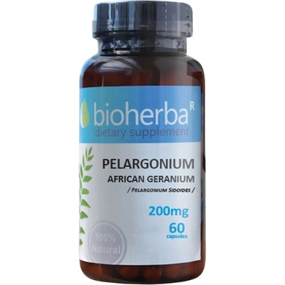 Bioherba Pelargnium 200 mg | African Geranium (Pelargonium Sidoides) [60 ]