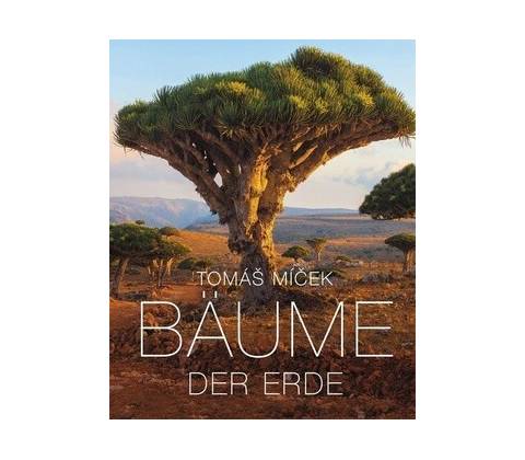 Bäume der Erde