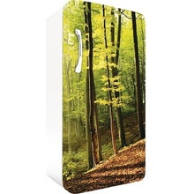 Dimex FR120-028 Samolepící fototapeta na lednice Forest rozměry 65 x 120 cm